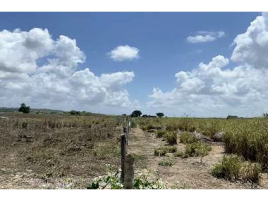 Foto 7 de 16: Terreno em leilão em Monte Alegre - RN — Terreno à venda em leilão