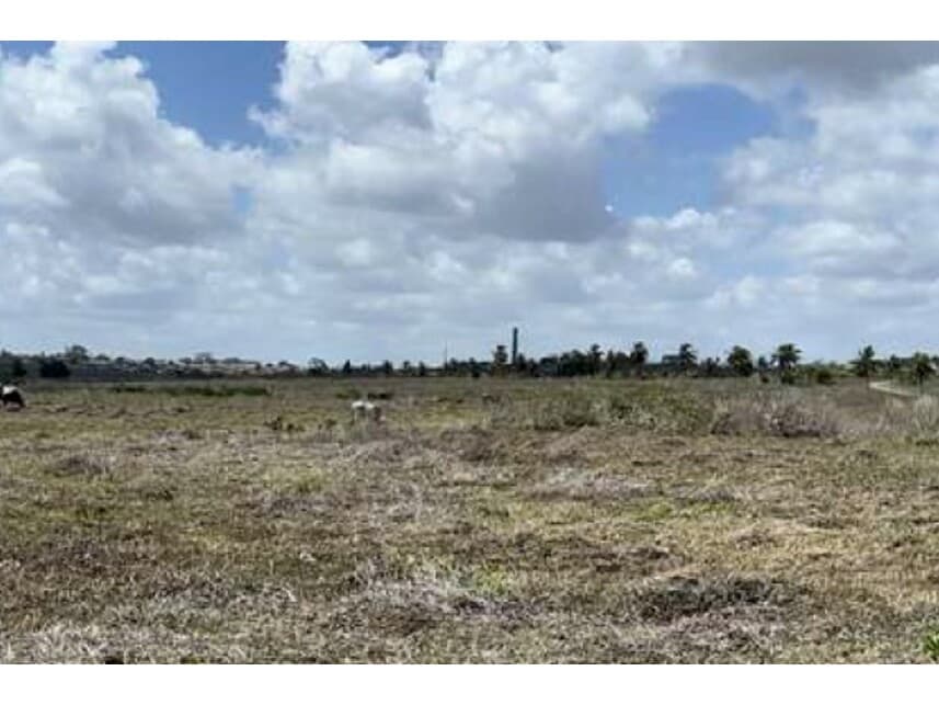 Foto 10 de 16: Terreno em leilão em Monte Alegre - RN — Terreno à venda em leilão