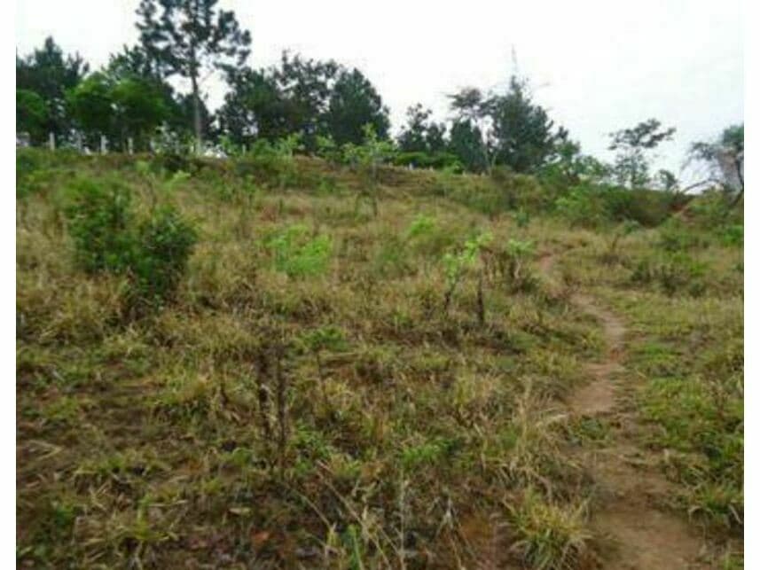 Foto 1 de 10: Terreno em leilão em Barbacena - MG — Terreno à venda
