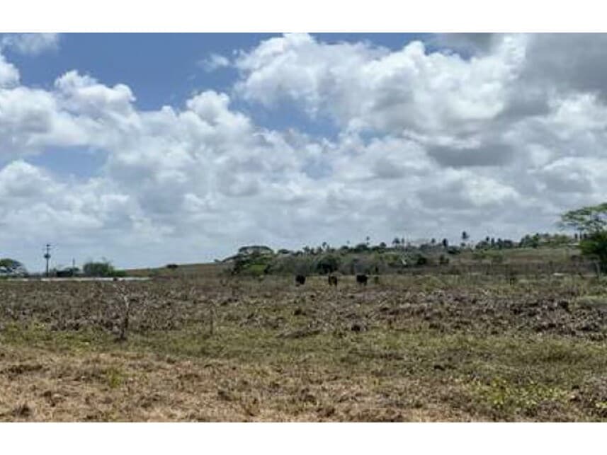 Foto 9 de 16: Terreno em leilão em Monte Alegre - RN — Terreno à venda em leilão