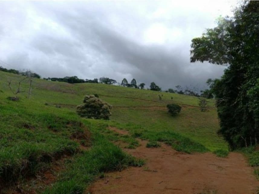 Foto 7 de 7: Area Rural em leilão em Duas Barras - RJ — Área Rural à venda em leilão