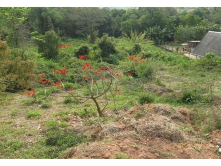 Foto 5 de 8: Terreno em leilão em Itatiba - SP — Terreno à venda em leilão