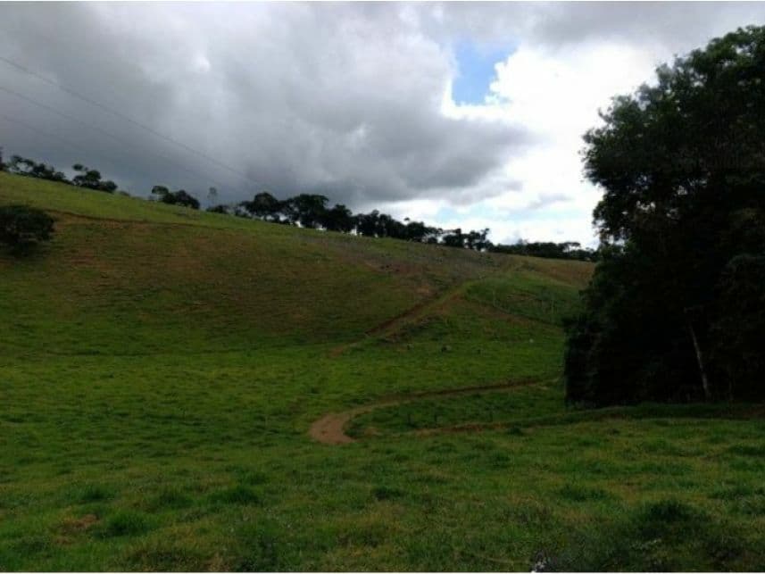 Foto 6 de 7: Area Rural em leilão em Duas Barras - RJ — Área Rural à venda em leilão