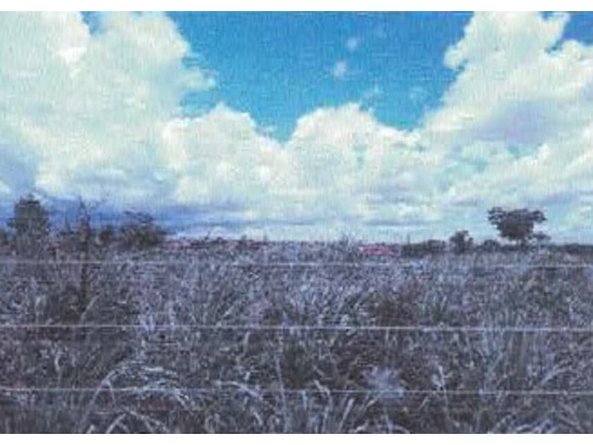 Foto 1 de 2: Terreno em leilão em Várzea Grande - MT — Terreno à venda em leilão