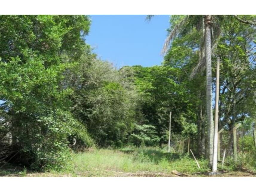 Foto 2 de 22: Area Rural em leilão em Itatiba - SP — Sítio à venda em leilão