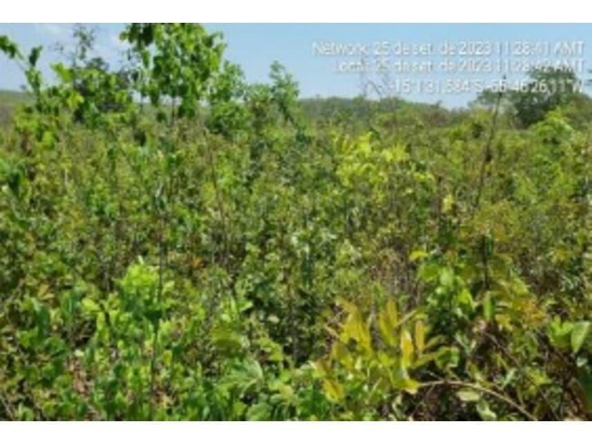 Foto 3 de 10: Terreno em leilão em Chapada Dos Guimarães - MT — Terreno à venda em leilão