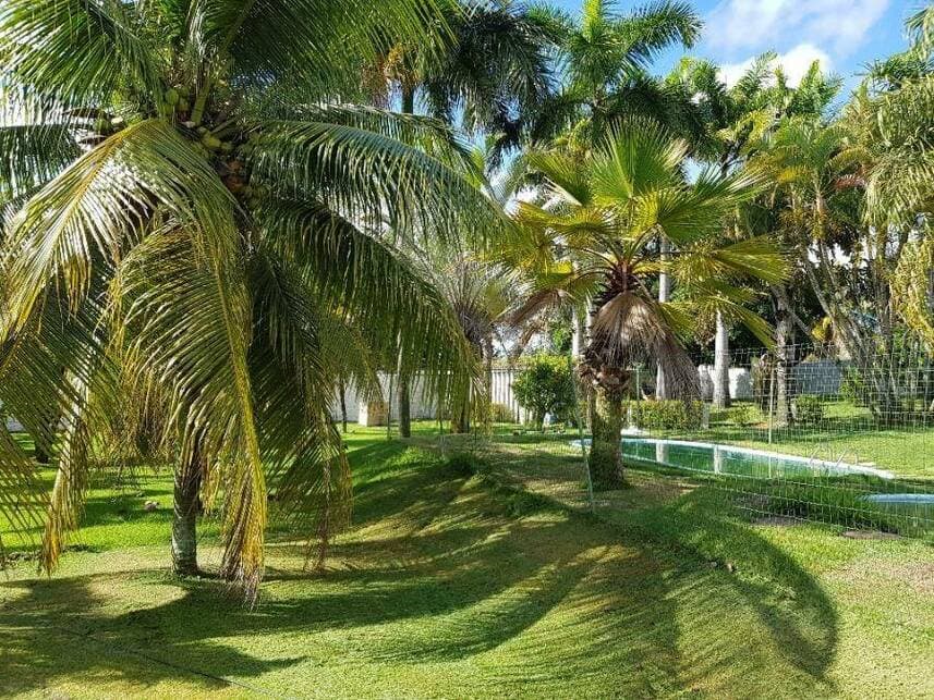Foto 17 de 19: Casa em leilão em Nísia Floresta - RN — Casa à venda em leilão