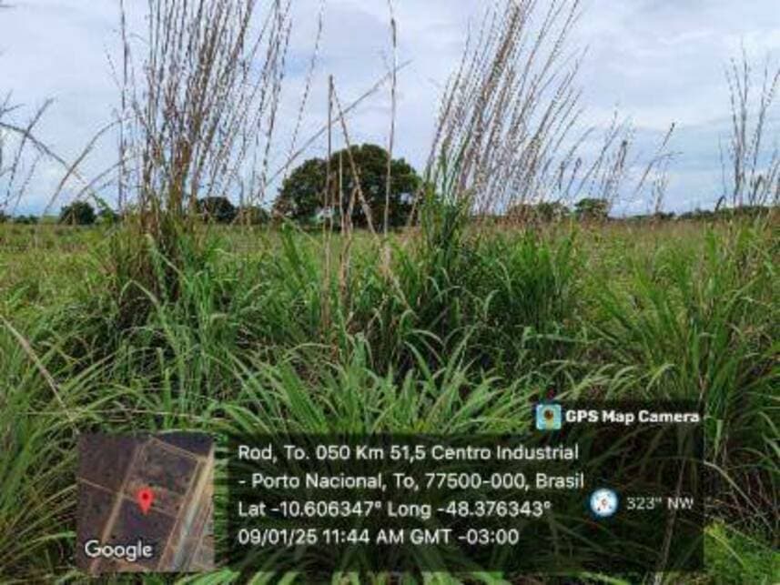 Foto 11 de 13: Terreno em leilão em Porto Nacional - TO — Terreno à venda em leilão