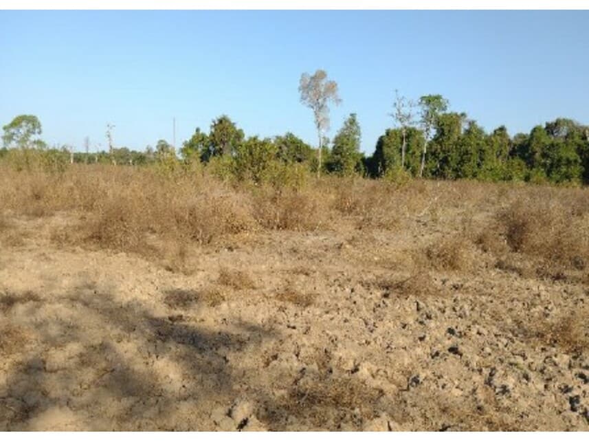 Foto 5 de 7: Area Rural em leilão em Lagoa Da Confusão - TO — Área Rural à venda em leilão
