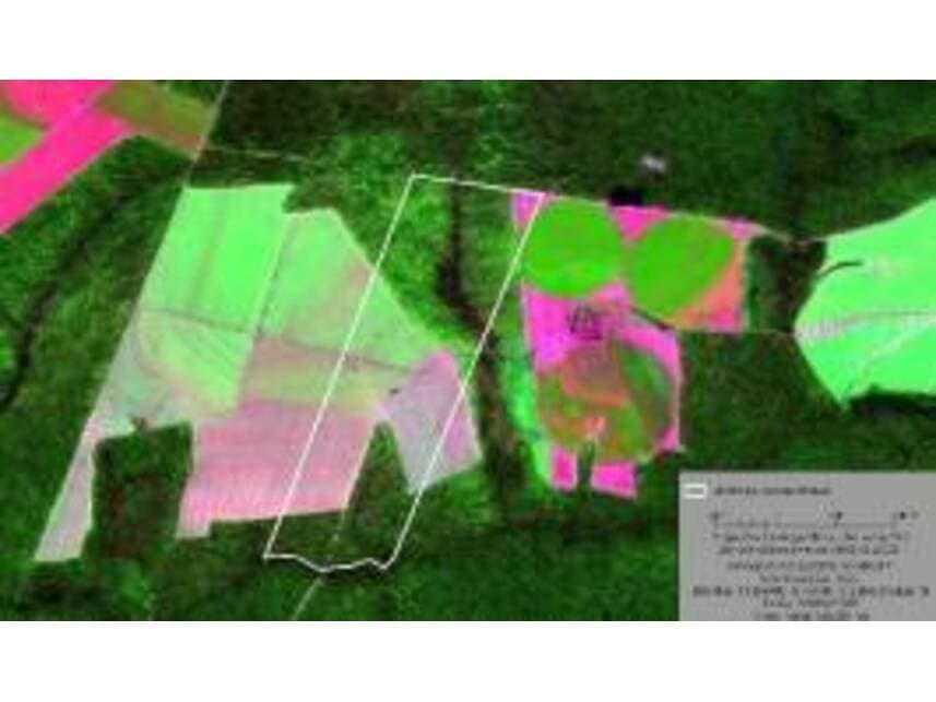 Foto 3 de 4: Area Rural em leilão em Nova Maringá - MT — Área Rural à venda em leilão
