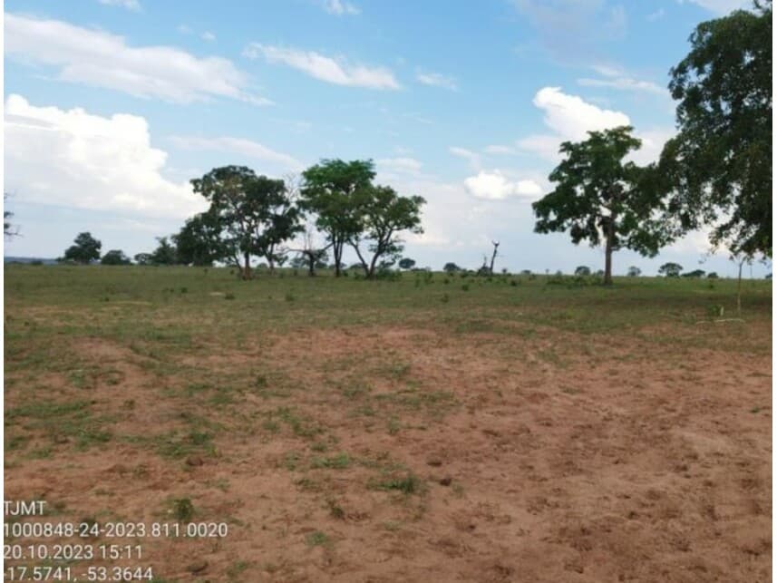 Foto 2 de 6: Area Rural em leilão em Alto Araguaia - MT — Área Rural à venda em leilão