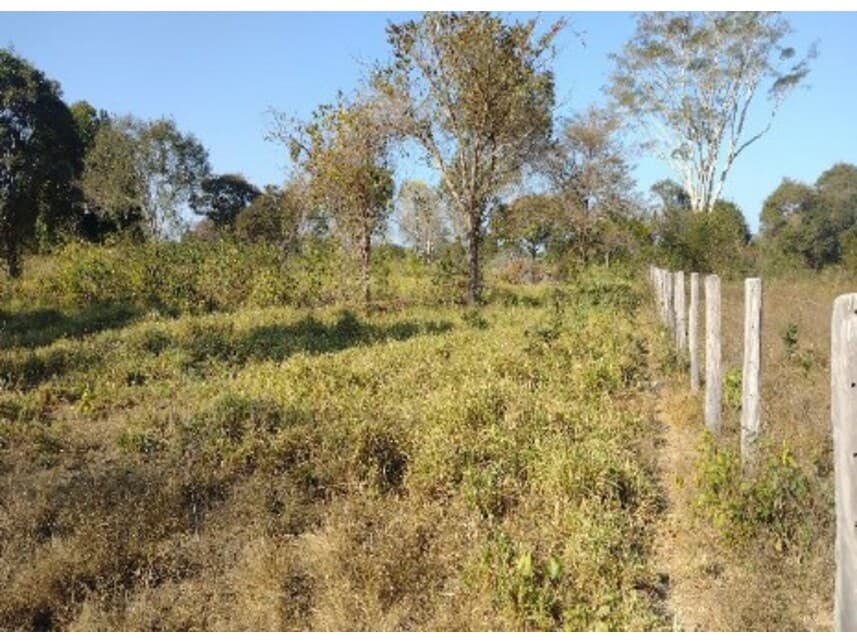 Foto 6 de 7: Area Rural em leilão em Lagoa Da Confusão - TO — Área Rural à venda em leilão