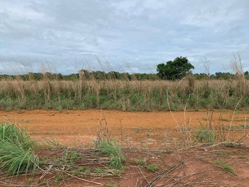 Foto 5 de 13: Terreno em leilão em Porto Nacional - TO — Terreno à venda em leilão