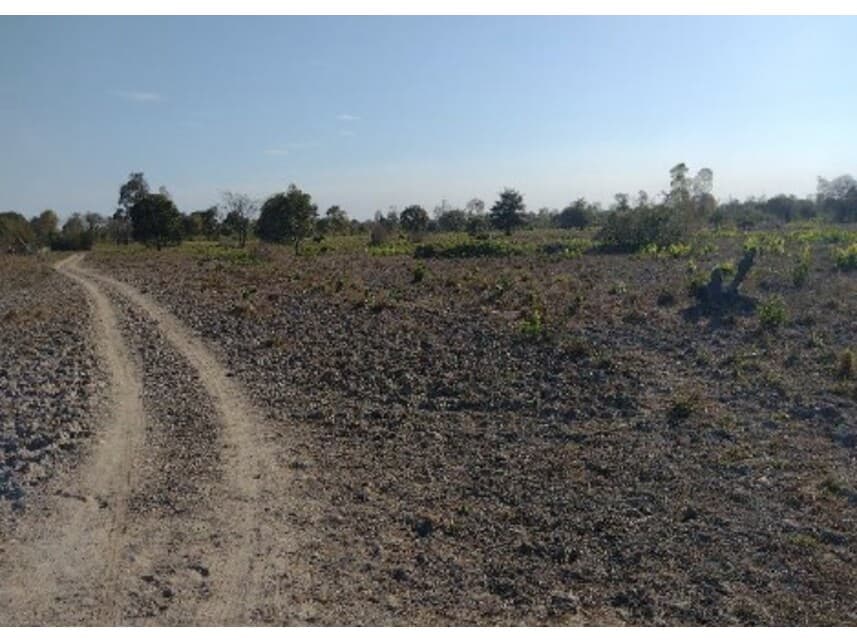 Foto 2 de 7: Area Rural em leilão em Lagoa Da Confusão - TO — Área Rural à venda em leilão