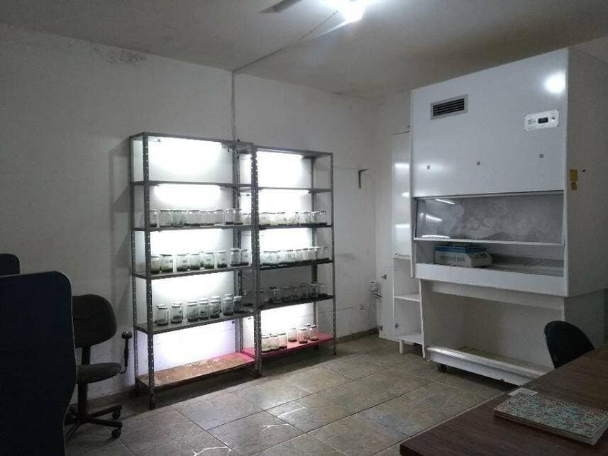 Foto 13 de 25: Casa em leilão em Guaiçara - SP — Casa à venda em leilão