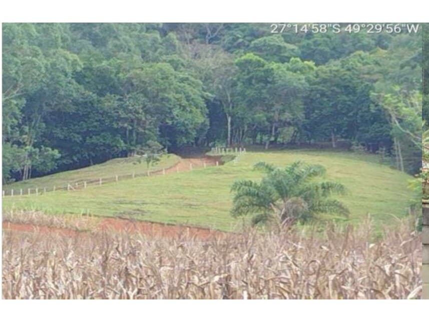 Area Rural em leilão em Lontras - SC — Área Rural à venda em leilão