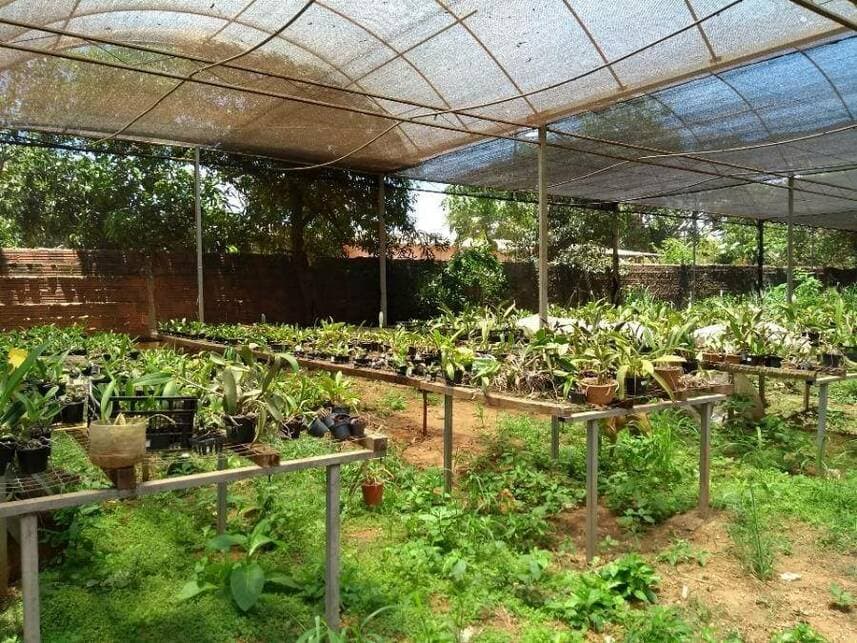 Foto 25 de 25: Casa em leilão em Guaiçara - SP — Casa à venda em leilão