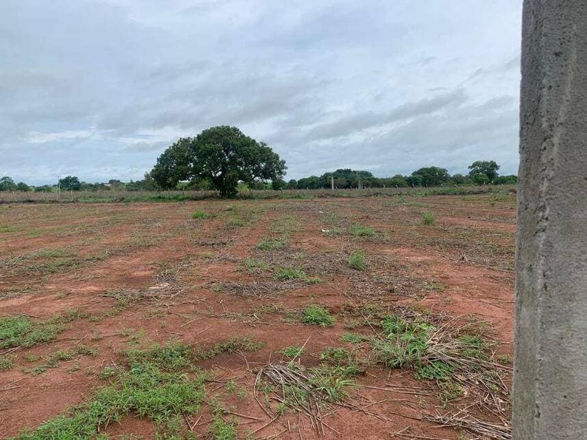 Foto 4 de 13: Terreno em leilão em Porto Nacional - TO — Terreno à venda em leilão