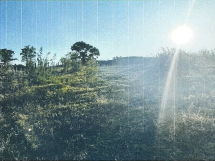 Foto 6 de 10: Area Rural em leilão em Sorocaba - SP — Área Rural à venda em leilão
