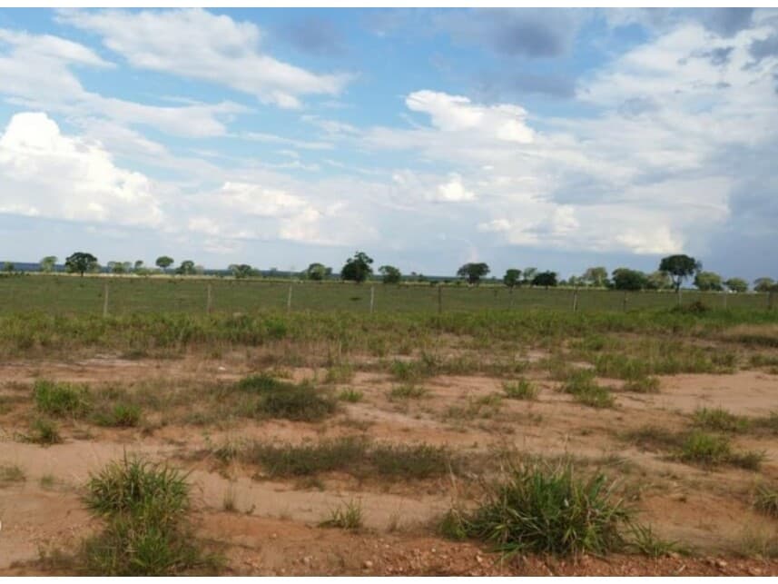 Foto 6 de 6: Area Rural em leilão em Alto Araguaia - MT — Área Rural à venda em leilão