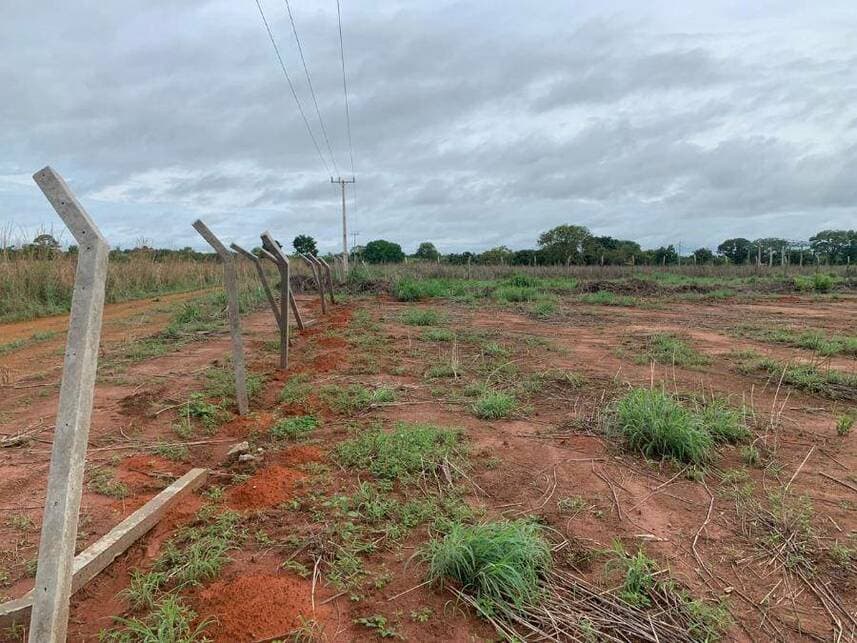 Foto 2 de 13: Terreno em leilão em Porto Nacional - TO — Terreno à venda em leilão