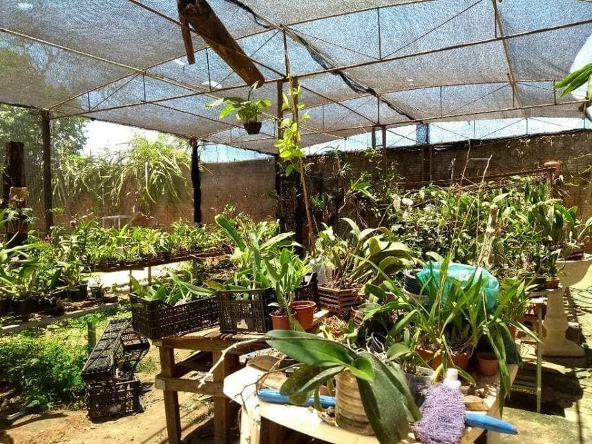 Foto 24 de 25: Casa em leilão em Guaiçara - SP — Casa à venda em leilão