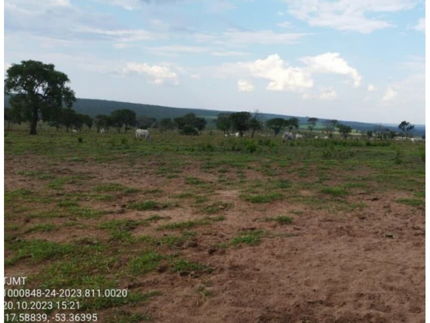 Foto 4 de 6: Area Rural em leilão em Alto Araguaia - MT — Área Rural à venda em leilão