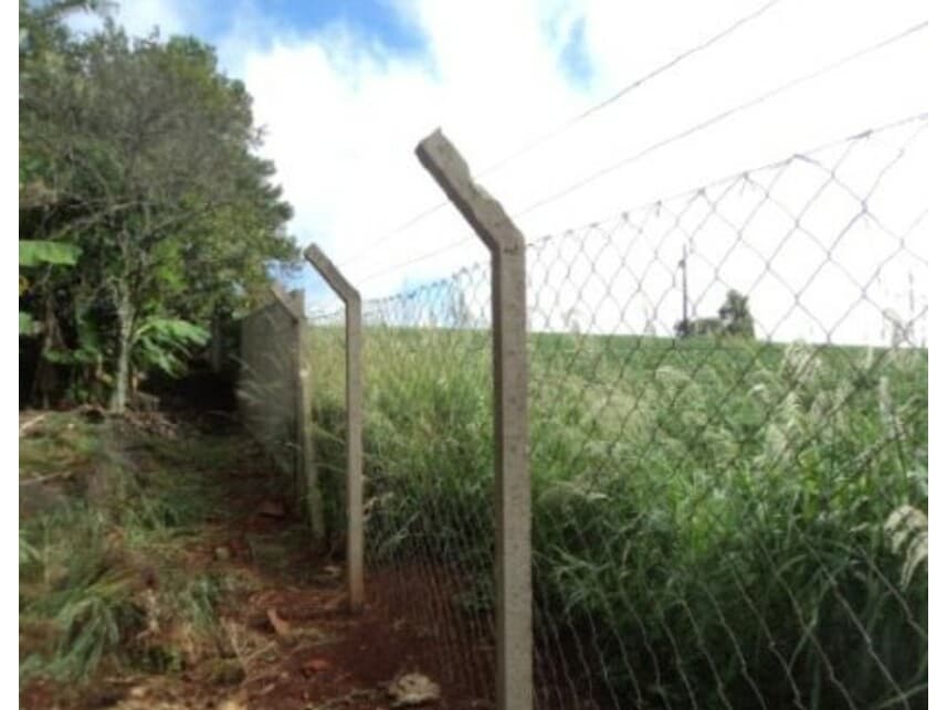 Foto 10 de 10: Area Rural em leilão em Arapongas - PR — Gleba Rural à venda em leilão