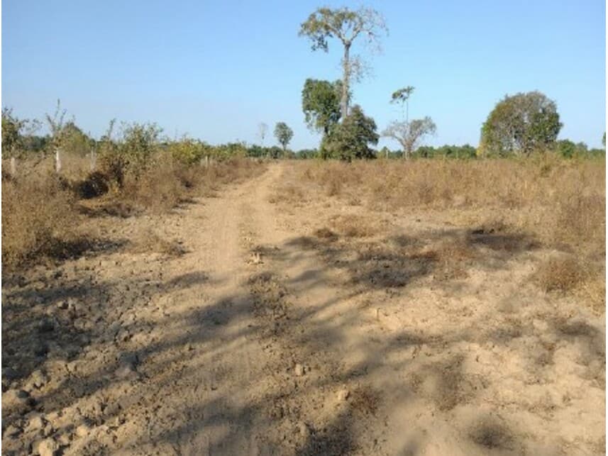 Foto 3 de 7: Area Rural em leilão em Lagoa Da Confusão - TO — Área Rural à venda em leilão