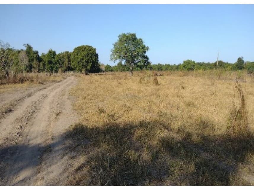 Foto 4 de 7: Area Rural em leilão em Lagoa Da Confusão - TO — Área Rural à venda em leilão