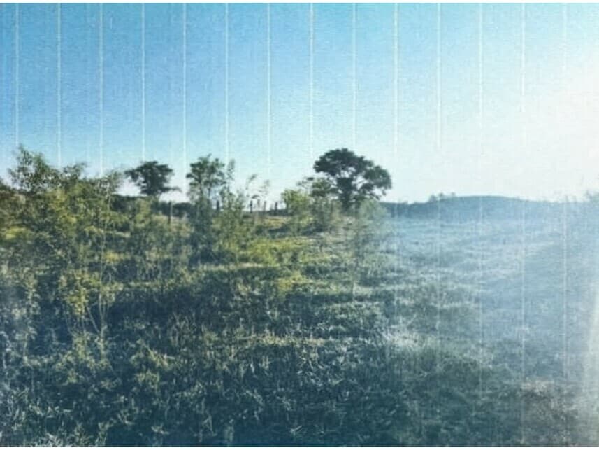 Foto 5 de 10: Area Rural em leilão em Sorocaba - SP — Área Rural à venda em leilão