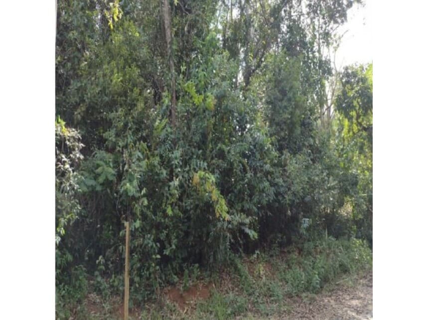 Terreno em leilão em Brumadinho - MG — Terreno à venda em leilão