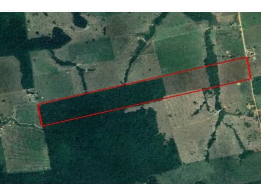 Foto 2 de 2: Area Rural em leilão em Nova Bandeirantes - MT — Área Rural à venda em leilão