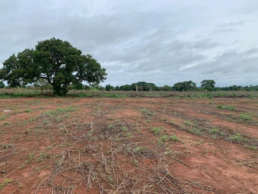 Foto 1 de 13: Terreno em leilão em Porto Nacional - TO — Terreno à venda em leilão