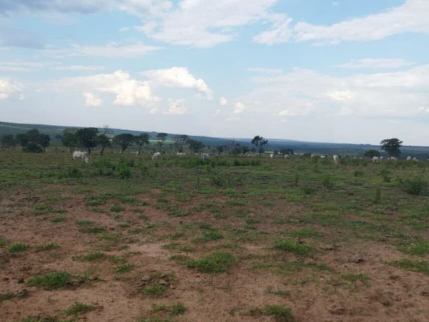 Foto 5 de 6: Area Rural em leilão em Alto Araguaia - MT — Área Rural à venda em leilão