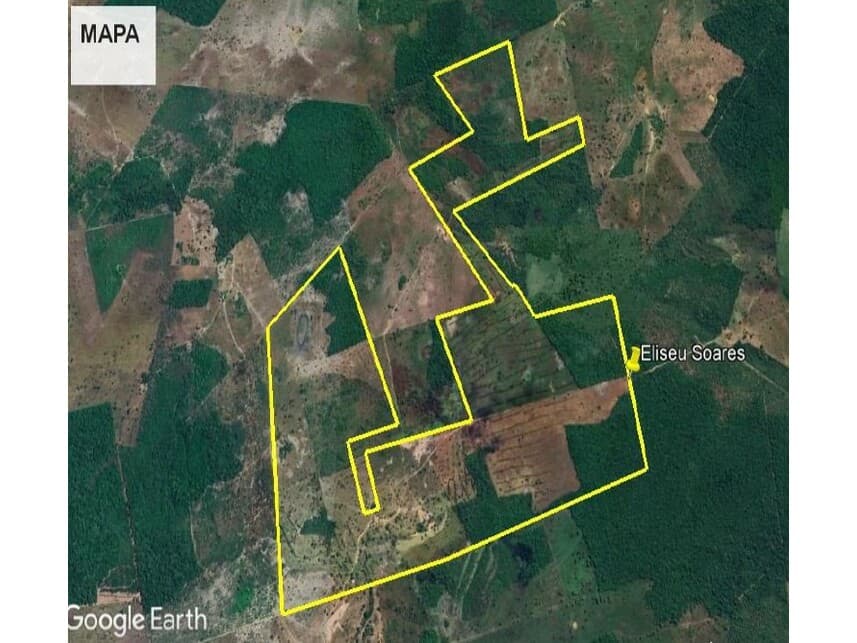Foto 7 de 7: Area Rural em leilão em Lagoa Da Confusão - TO — Área Rural à venda em leilão