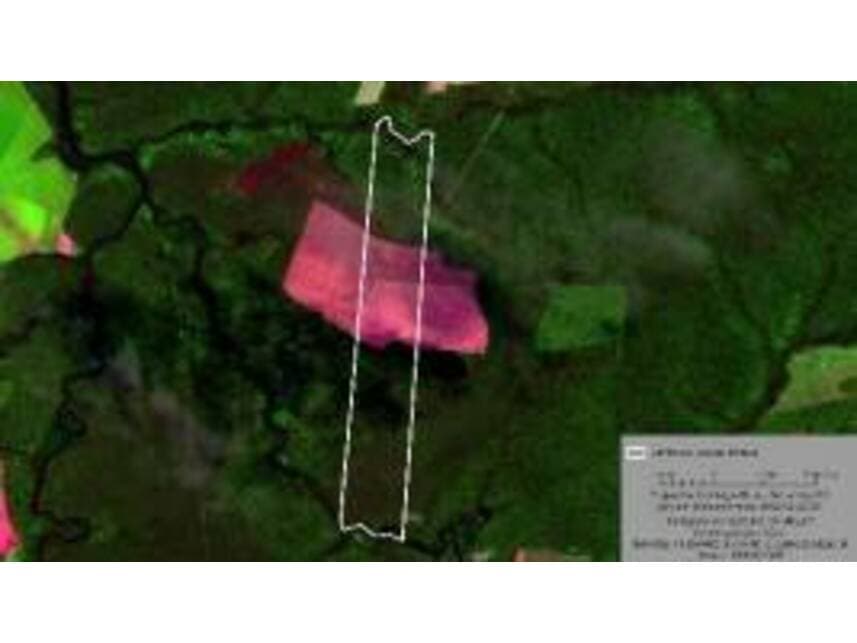 Foto 4 de 4: Area Rural em leilão em Nova Maringá - MT — Área Rural à venda em leilão