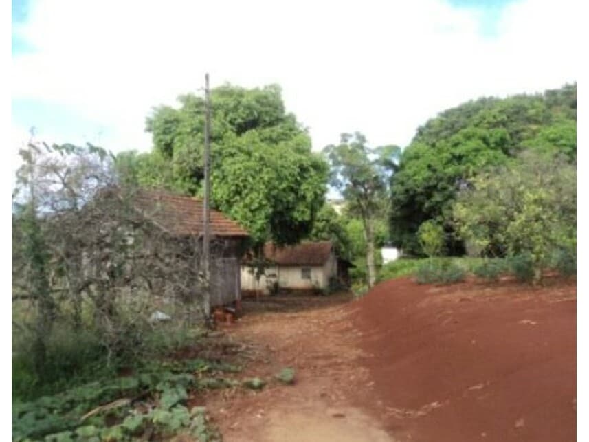 Foto 5 de 10: Area Rural em leilão em Arapongas - PR — Gleba Rural à venda em leilão