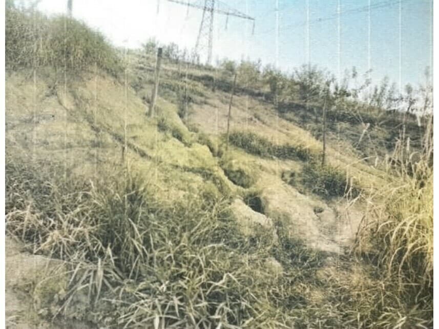 Foto 4 de 10: Area Rural em leilão em Sorocaba - SP — Área Rural à venda em leilão