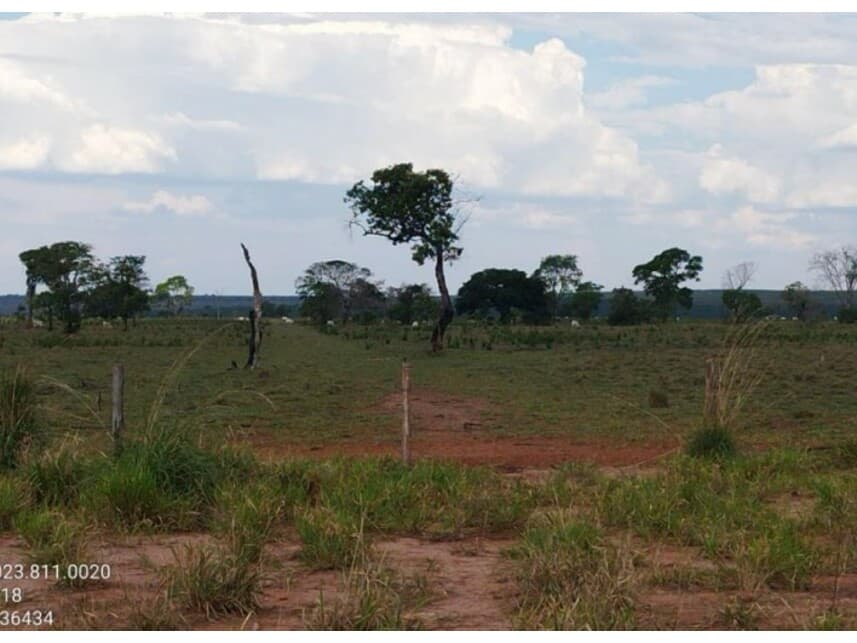 Foto 3 de 6: Area Rural em leilão em Alto Araguaia - MT — Área Rural à venda em leilão
