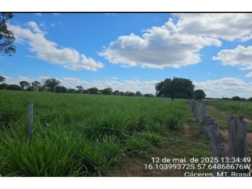 Foto 4 de 10: Area Rural em leilão em Cáceres - MT — Área Rural à venda em leilão