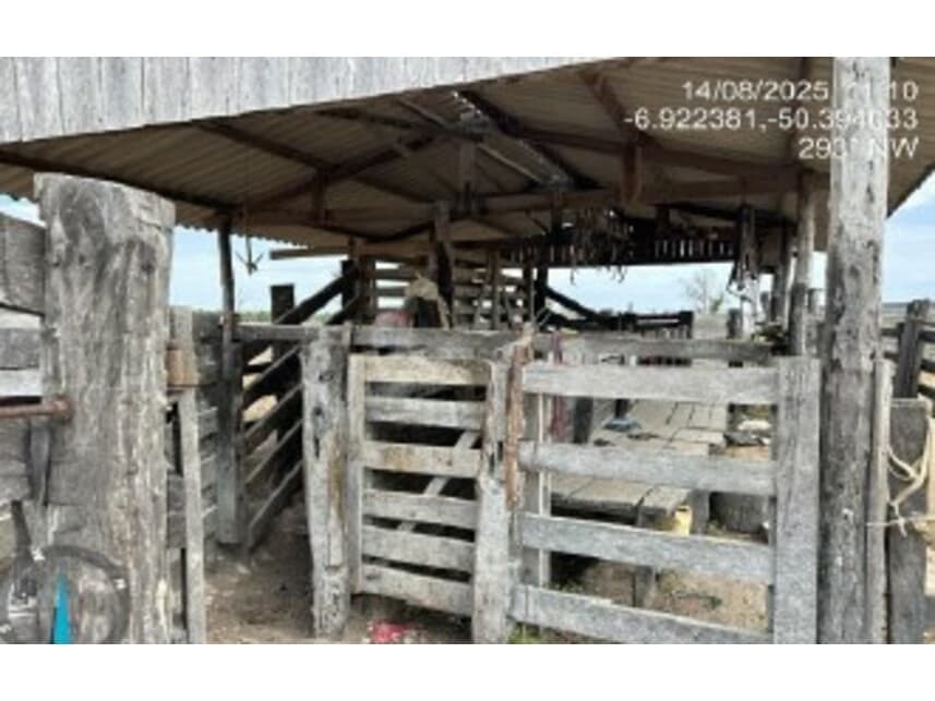 Foto 13 de 18: Area Rural em leilão em Água Azul Do Norte - PA — Fazenda à venda em leilão