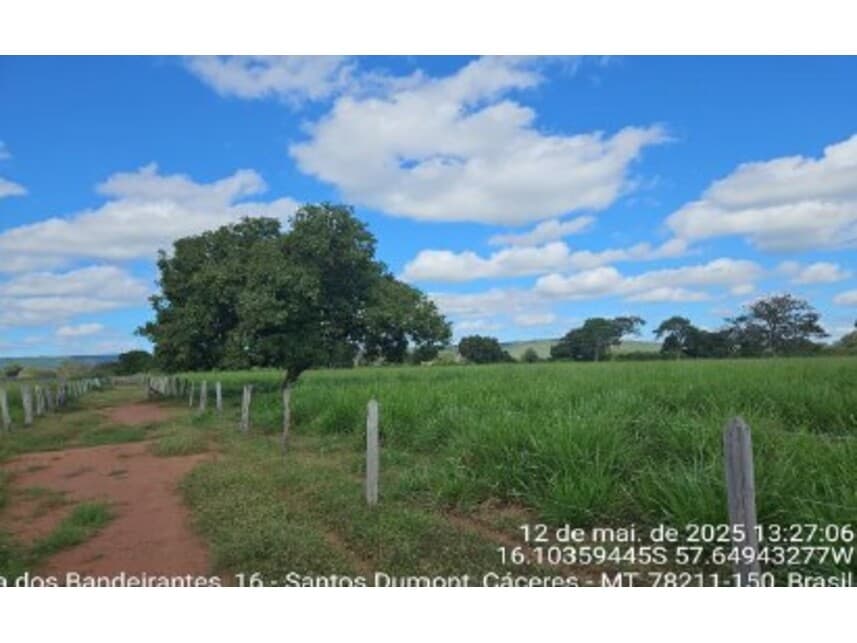 Foto 10 de 10: Area Rural em leilão em Cáceres - MT — Área Rural à venda em leilão