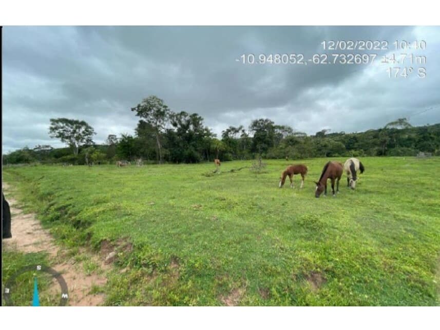 Foto 4 de 7: Area Rural em leilão em Mirante Da Serra - RO — Área Rural à venda em leilão