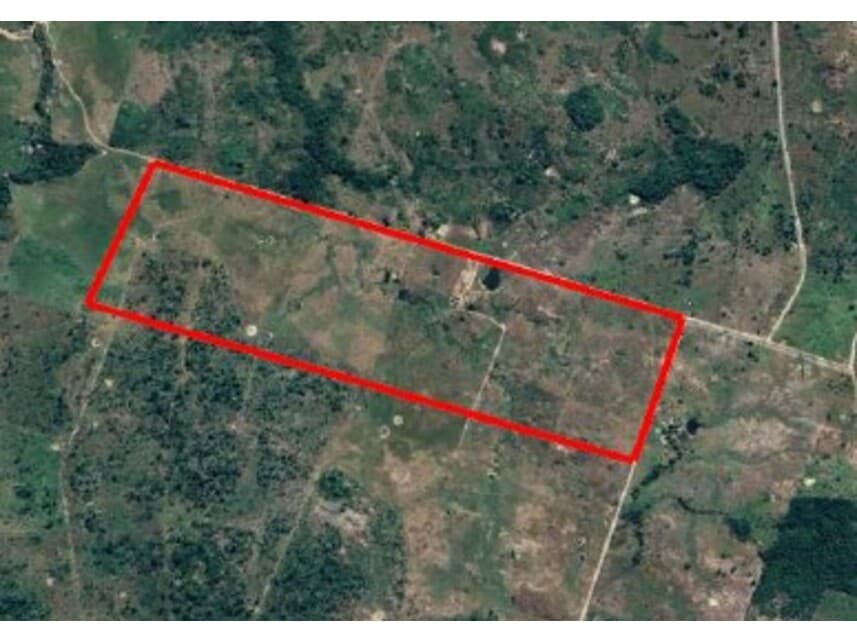 Foto 1 de 18: Area Rural em leilão em Água Azul Do Norte - PA — Fazenda à venda em leilão