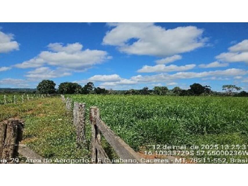 Foto 6 de 10: Area Rural em leilão em Cáceres - MT — Área Rural à venda em leilão