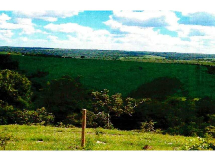 Foto 8 de 8: Area Rural em leilão em Mineiros - GO — Fazenda à venda em leilão