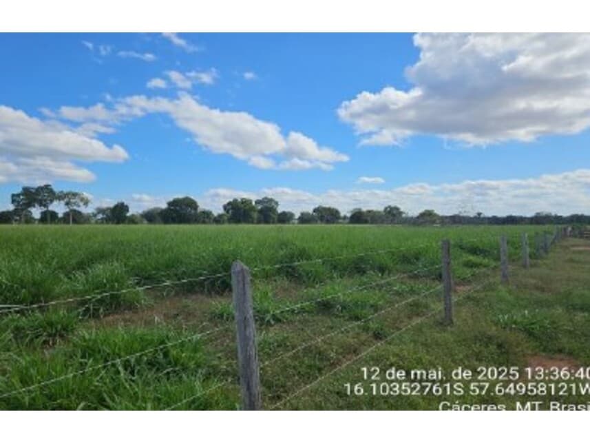 Foto 5 de 10: Area Rural em leilão em Cáceres - MT — Área Rural à venda em leilão