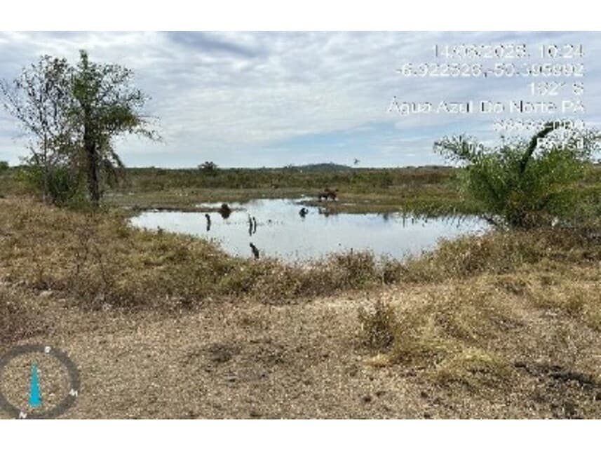 Foto 16 de 18: Area Rural em leilão em Água Azul Do Norte - PA — Fazenda à venda em leilão