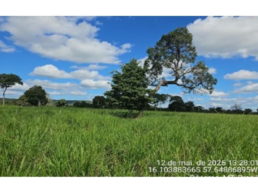 Foto 2 de 10: Area Rural em leilão em Cáceres - MT — Área Rural à venda em leilão